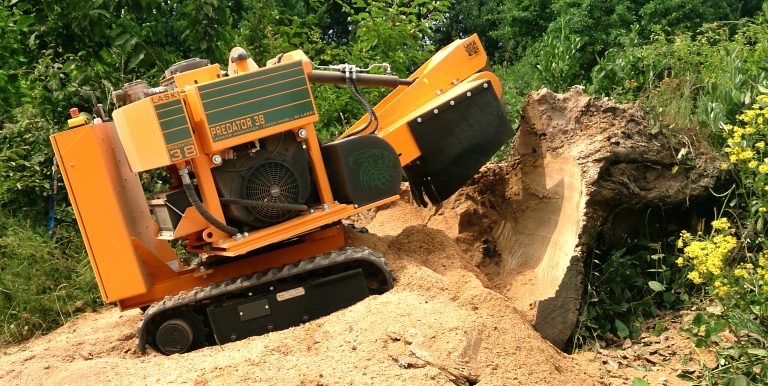 Selbstfahrende Stubbenfräse Laski P38